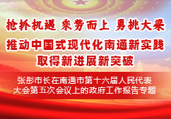  2025年政府工作報(bào)告專題